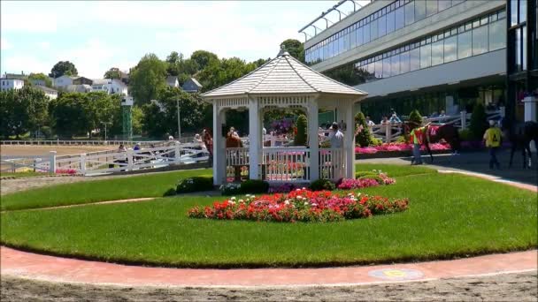 Race horses are paraded around flower laden gazebo — Stock Video