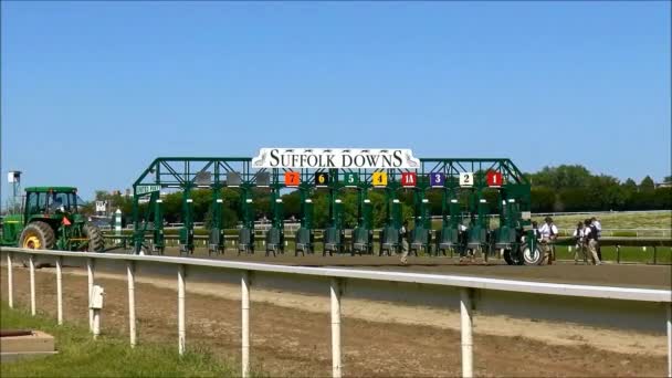 Horse racing track prepares starting gate — Stock Video