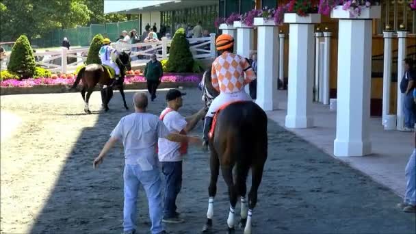 Mulher jockey e corrida cavalo deixar paddock — Vídeo de Stock