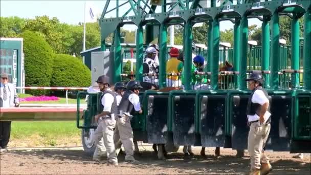 Caballos de carreras y jinetes entran puerta de salida — Vídeo de stock