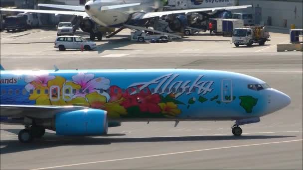 Alaska Airlines Hawaii flygplan — Stockvideo