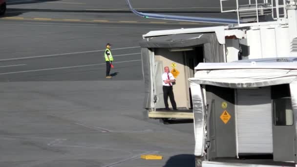 Airline airport gates await — Stock Video