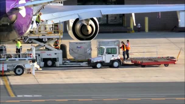 Fedex Offloads Plane — Stock Video