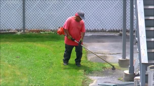 Mann trimmt das Gras — Stockvideo