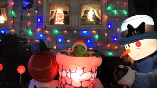 Grinch Kerstmis decoratie — Stockvideo