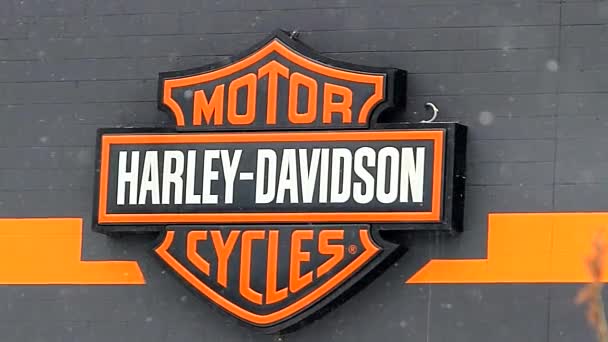 Harley Davidson Motorcycles — Stock Video