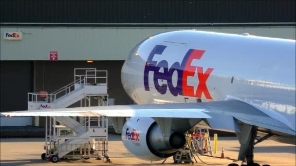Logotipo de Fedex en Jet — Vídeo de stock