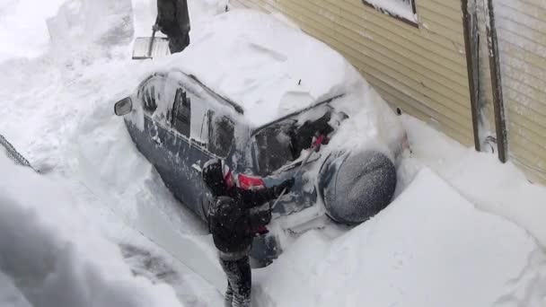 車の雪を掘り — ストック動画