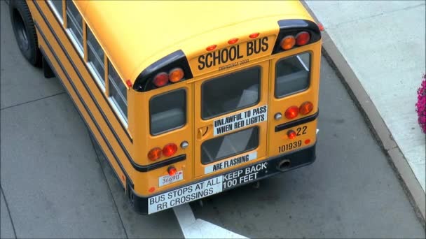 School Bus Warnings — Stock Video