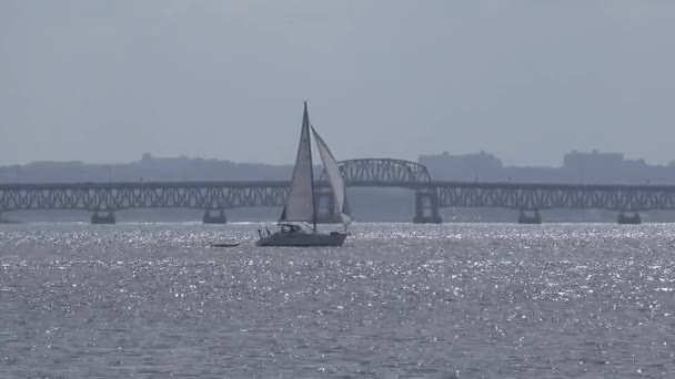 Sailboat moves along Boston Harbor — Stock Video