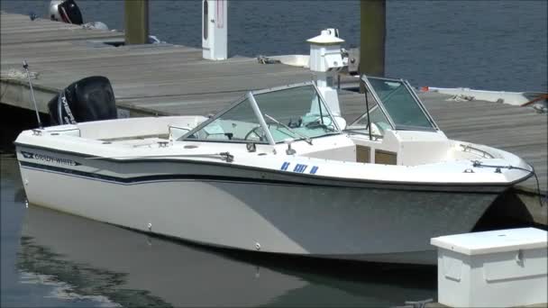 Speedboot aangemeerd bij Pier — Stockvideo