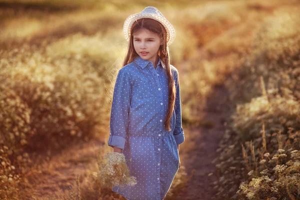 花の分野で美しい小さな女の子劇場版の夕日 — ストック写真