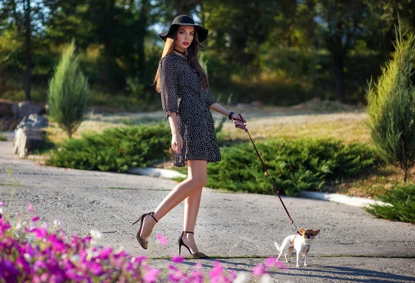 Jonge elegante mooie dame met kleine mooie hond wandelen in worden — Stockfoto