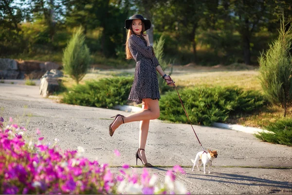 Jonge elegante mooie dame met kleine mooie hond wandelen in worden — Stockfoto