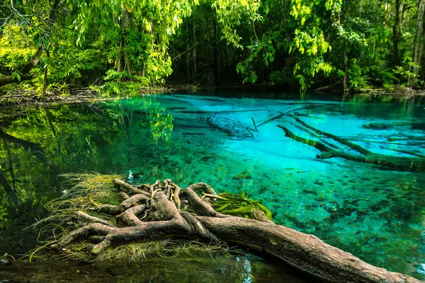 Piscina blu smeraldo. Krabi, Thailandia. Incredibile acqua blu in be — Foto Stock