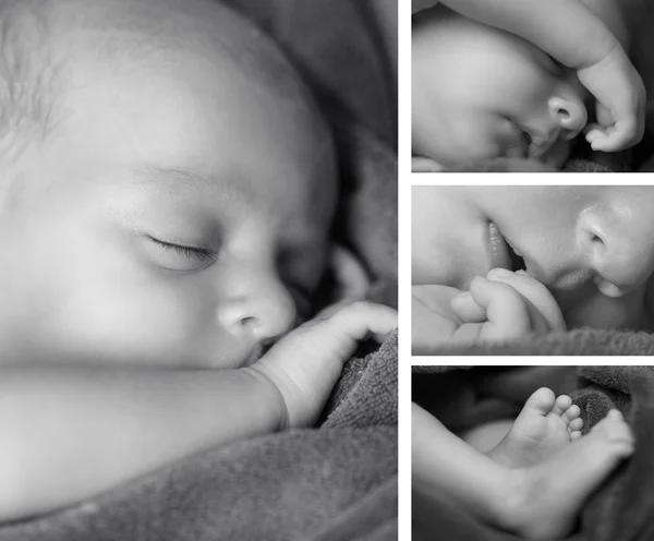 Koláž roztomilý a legrační novorozené dítě spí — Stock fotografie