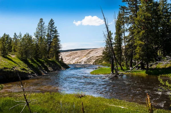 Les Geysers Actifs Les Piscines Géothermiques Parc National Yellowstone Yellowstone — Photo