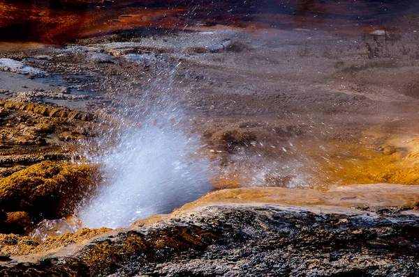 Active Geysers Geothermal Pools Yellowstone National Park Yellowstone World First — Stock Photo, Image