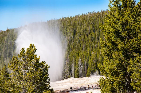 Active Geysers Geothermal Pools Yellowstone National Park Yellowstone World First — Stock Photo, Image