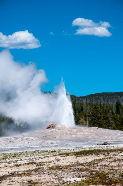 Ενεργοί Geysers Και Γεωθερμικές Λίμνες Του Εθνικού Πάρκου Yellowstone Γέλοουστοουν — Φωτογραφία Αρχείου