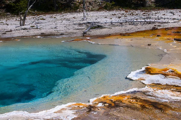 Active Geysers Geothermal Pools Yellowstone National Park Yellowstone World First — Stock Photo, Image