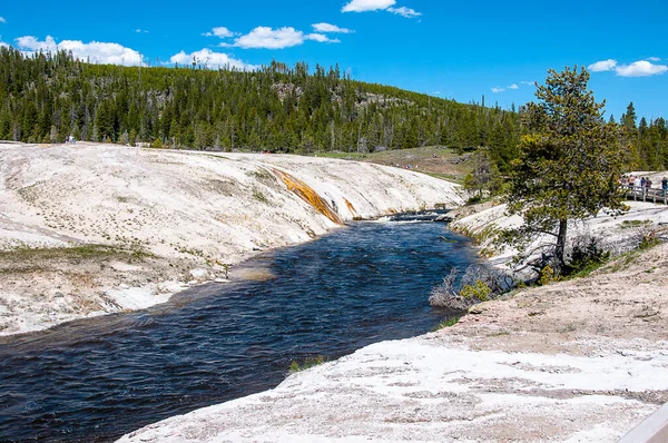 Aktive Geyserne Geotermiske Bassengene Yellowstone Nasjonalpark Yellowstone Var Verdens Første – stockfoto