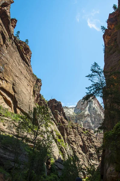 Canyon Sion Dans Utah Comporte Des Tours Des Monolithes Qui — Photo