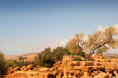 Agrigento Sicilya Tapınaklar Vadisi denilen geniş bir alanı kaplar. Burası antik kentin güney tarafında, MÖ 6 ve 5. yüzyıllarda Dorik tarzında 7 anıtsal Yunan tapınağının inşa edildiği büyük kutsal bir bölgedir.. 