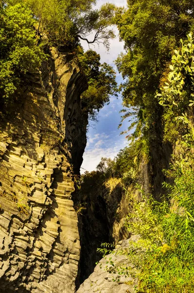 阿尔坎塔拉峡谷周围的森林其实很小 但这个风景区位于185号公路 介于托尔米纳和埃特纳山之间 外的阿尔坎塔拉河畔 让人可以愉快地看到埃特纳对周边农村的地质影响 — 图库照片