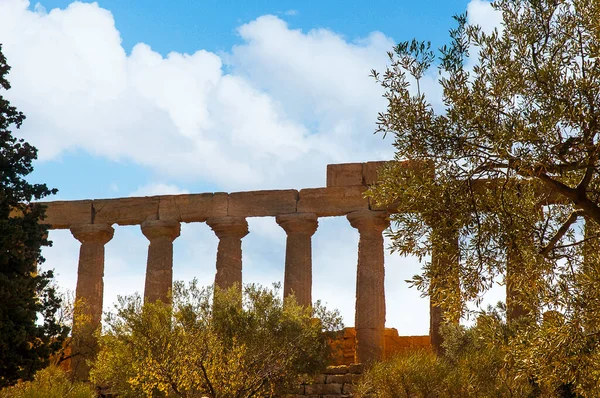 アグリジェントシチリア島は 寺院の谷と呼ばれる巨大な領域をカバーしています ここは古代都市の南側にある大きな聖域で 紀元前6世紀から5世紀にかけてドーリア様式の7つの記念碑的なギリシャ寺院が建てられた — ストック写真