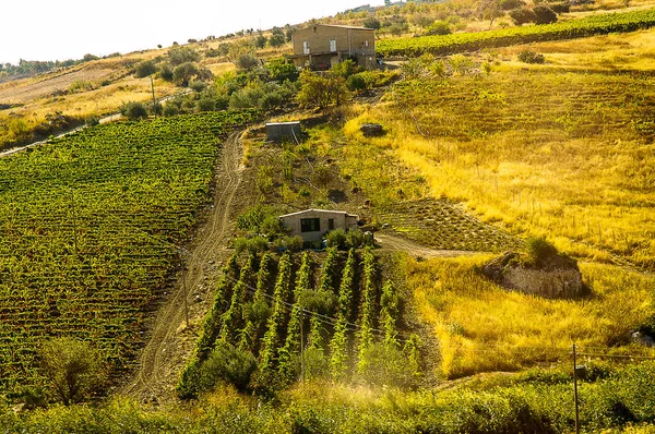 Tierra Sicilia Sido Afectada Por Innumerables Invasores Griegos Romanos Árabes —  Fotos de Stock