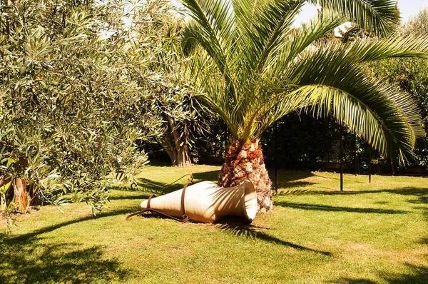 Vacker Trädgård Restaurang Stopp Resan Till Agricento Temples Var Motsats — Stockfoto