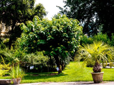 Borgo Ortaçağ Bahçesi İtalya 'nın dört bir yanından gelen binaların bir araya gelerek Torino' da bir İtalyan Kalesi ve bahçesi oluşturulduğu bir kale..