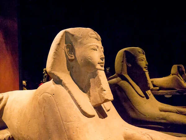 エジプトのスフィンクストリノのエジプト博物館でこの4000歳の展覧会の著作権の問題はありません その年齢のために それはEu法の下でパブリックドメインに分類されます この博物館の展示品は1833年にエジプトで取得された — ストック写真
