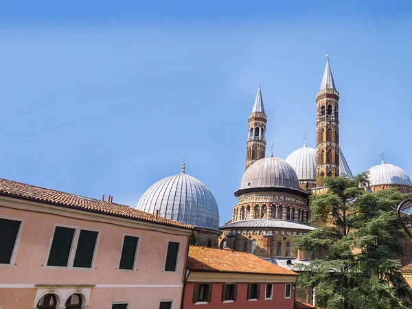 Die Päpstliche Basilika Des Heiligen Antonius Von Padua Ist Eine — Stockfoto