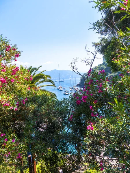 Portofino Italian Fishing Village Vacation Resort Famous Its Picturesque Harbour — Stock Photo, Image