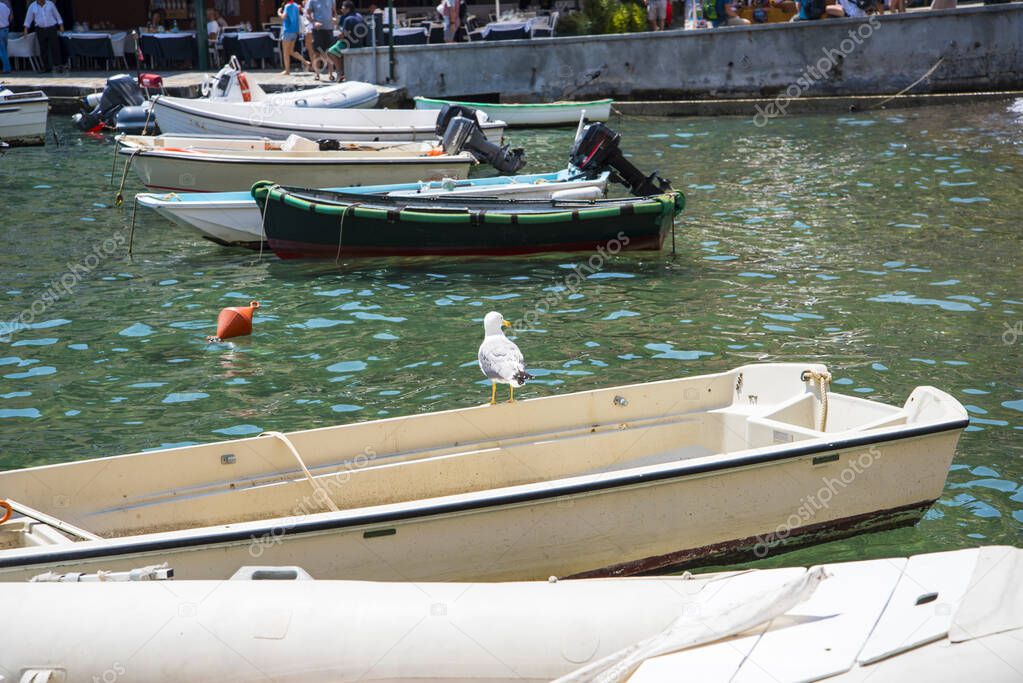Portofino  is an Italian fishing village and vacation resort famous for its picturesque harbour and historical association with celebrity and artistic visitors.View of the boats in the harbour with a seagull watching the world go by