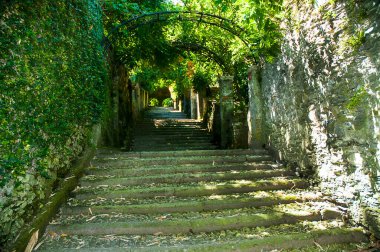 Isola Bella, İtalya 'da Maggiore Gölü' nde yer alan bir şehirdir. Ada, Piedmont 'taki Stresa göl kentine 400 metre uzaklıktadır.