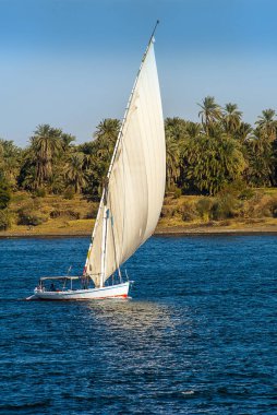 Felucca 'lar Nil Nehri' nde ticaret yapan geleneksel yelkenli gemilerdir. Tekneler, insanları ve malları bir uçtan diğer uca geçirirler. Beyaz yelkenleri Mısır 'ın mavi gökyüzüne karşı çizilmiş ya da katlanmış yelkenlerle demirlenmiş durumdadır.
