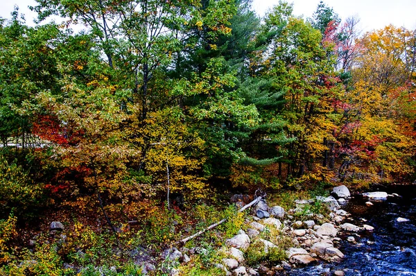 Rivieren Meren Bergen Van New England Herfst Herfstkleuren Van Noordoostelijke — Stockfoto