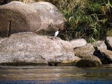 Nil Nehri üzerindeki Nil Nehri manzaraları. Nil Nehri eski çağlardan beri Mısır 'ın yaşam çizgisi olmuştur ve Mısır tarihinin akışını takip etmenin Nil' in rotasını takip etmekten ve geçmişi ve bugünü tecrübe etmekten daha iyi bir yolu yoktur.