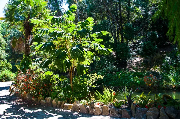 Jardin Des Palais Sintra Portugal Sintra Est Une Ville Balnéaire — Photo