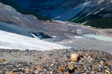 Athabasca Buzulu, Kanada 'nın Rocky Dağları' nda yer alan Kolombiya Buz Sahası 'nın altı ana ayak parmağından biridir. Küresel ısınma nedeniyle, buzullar son 125 yılda 1,5 kilometreden fazla geriledi.. 