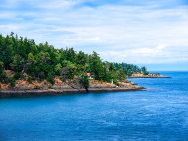 Britanya Kolombiyası Kanada 'nın Vancouver çevresindeki adaların kıyıları.