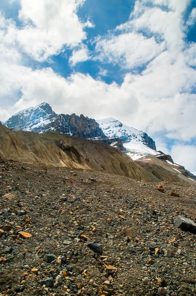 Glacier Athabasca Est Des Six Principaux Orteils Champ Glace Columbia — Photo