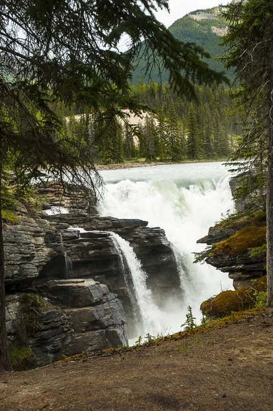 Las Cataratas Athabasca Río Athabasca Parque Nacional Jasper —  Fotos de Stock