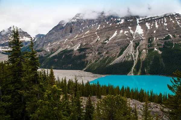 Lago Peyto Lago Alimentado Por Geleiras Localizado Parque Nacional Banff — Fotografia de Stock