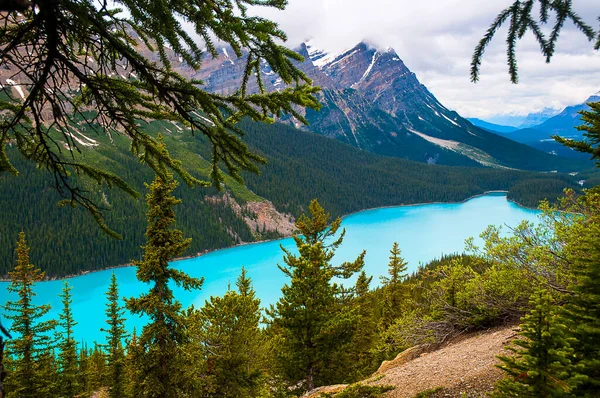 Peyto Egy Gleccserrel Táplált Banff Nemzeti Parkban Kanadai Sziklás Hegységben — Stock Fotó