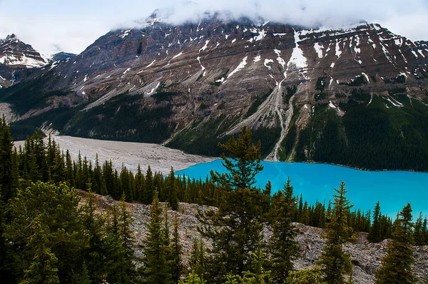 Lago Peyto Lago Alimentado Por Geleiras Localizado Parque Nacional Banff — Fotografia de Stock