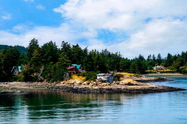 Brentwood Körfezi, Britanya Kolumbiyası, Kanada 'da Vancouver Adası' ndaki Victoria yakınlarında her yıl bir milyondan fazla ziyaretçi aldığını iddia eden bir grup çiçek sergisi.